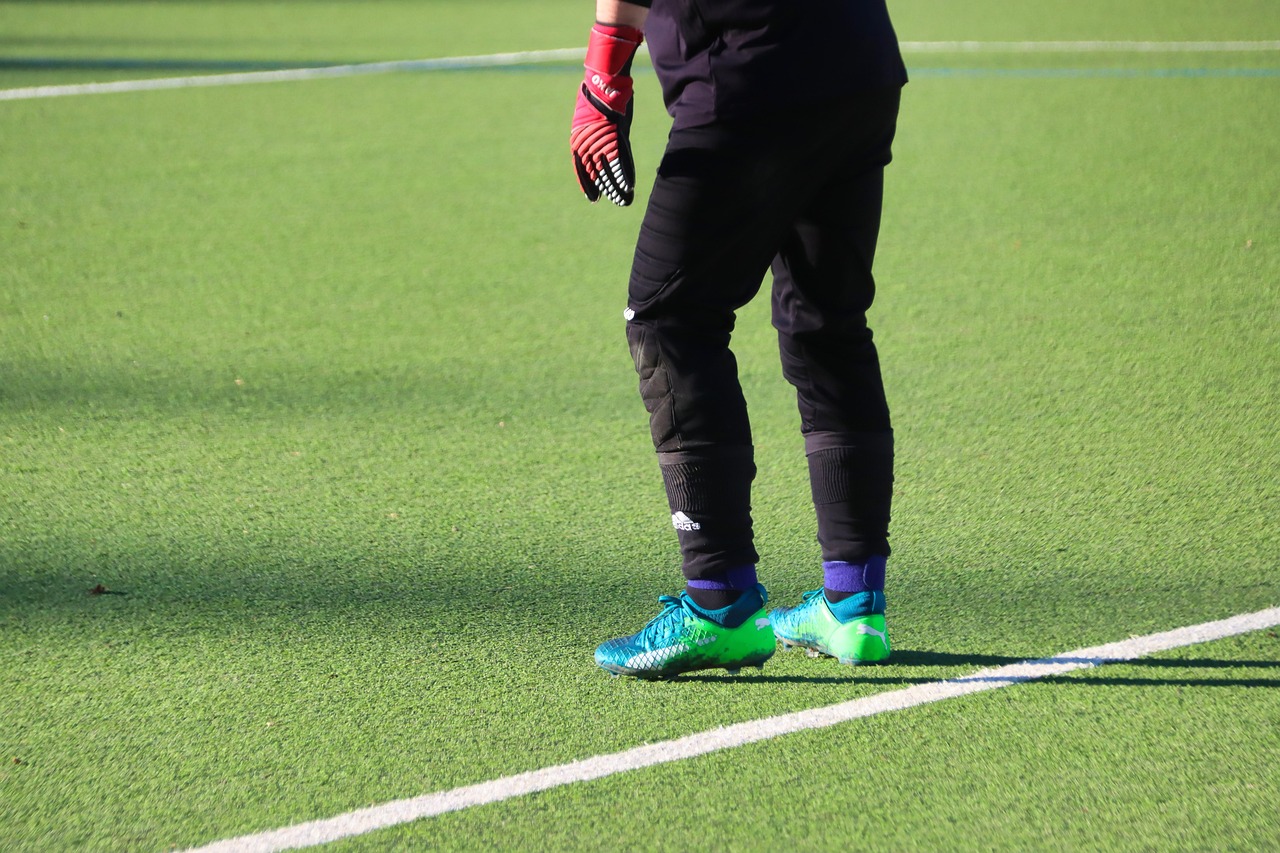 Artificial Grass